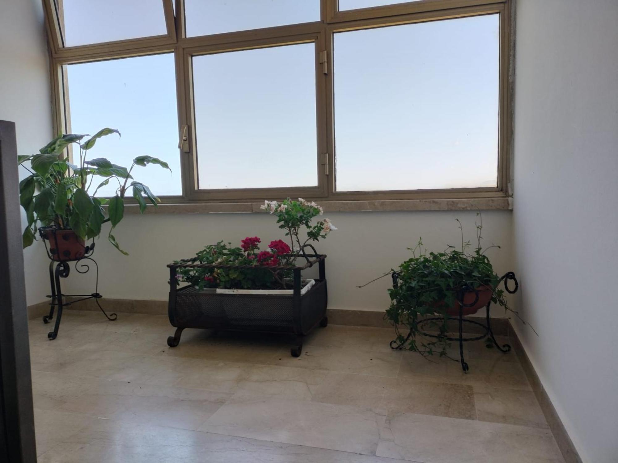 Holiday home D&p 1 *